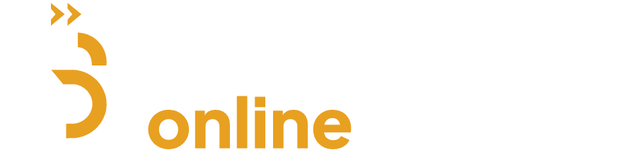 Sneljewebsiteonline